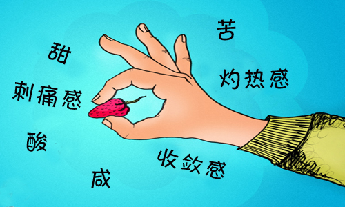 品酒詞匯解讀：味道、香氣和風味