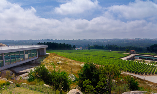 5個具有潛力的低價位葡萄酒產(chǎn)區(qū)