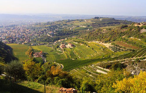 瓦坡里切拉產(chǎn)區(qū)（Valpolicella）