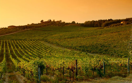 經典基安蒂產區宣布劃分出11個單一園