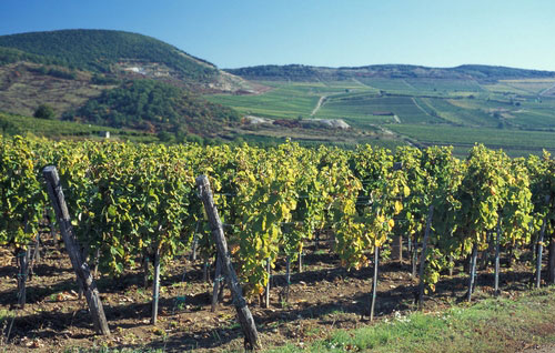 馬特拉產區（Matraalja）