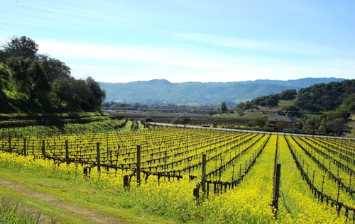 美國(guó)AVA法定葡萄酒產(chǎn)區(qū)制度