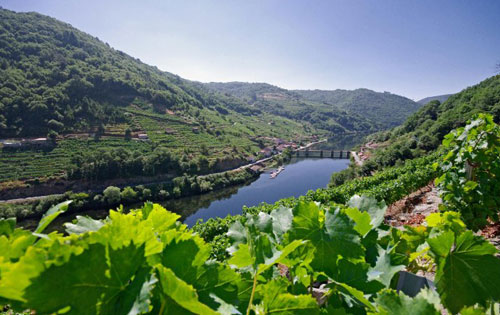 加利西亞產區（Galicia）