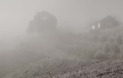 邦德酒莊（BOND）