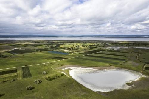 第一款在波爾多交易廣場出售的奧地利葡萄酒